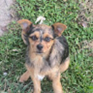 Meet your Posher, Jaime